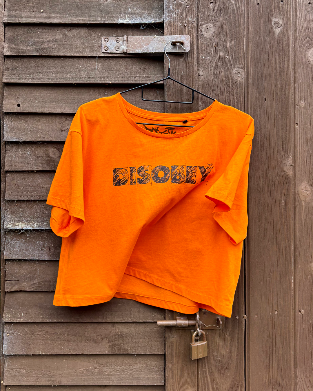 DISOBEY Crop Top | Graphic T-Shirt | Female Fit